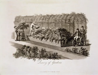 Luxury of Gardens, from 